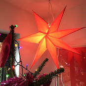 Lo, How a Rose E'er Blooming