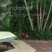 temporary perspectives