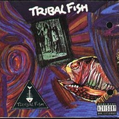Tuesday On A Tuesday by Tribal Fish
