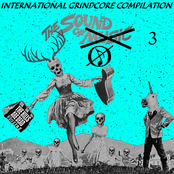 International Grindcore Compilation 2018: The Sound Of ✘ (3)