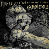 Third Reformation Of Brain Tissue