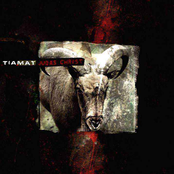 Sumer By Night by Tiamat