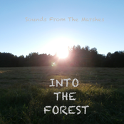 Into The Forest EP