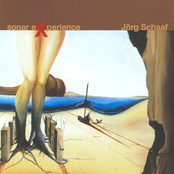 Sonar Experience