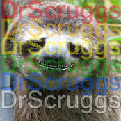 Dr. Scruggs