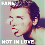 Not in Love - Single