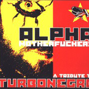 Alpha Motherfuckers