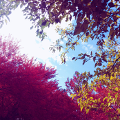 I Was a Perfectionist, but Then You Had to Smile.