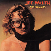 Welcome To The Club by Joe Walsh