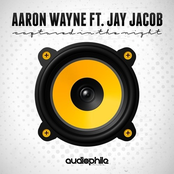 Aaron Wayne: Captured In The Night