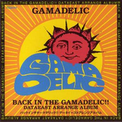 Back in the Gamadelic!! ~Data East Arrange Album~ (Disc 1)
