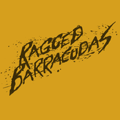 ragged barracudas