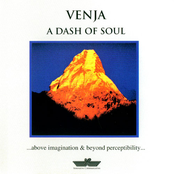 A Dash Of Soul by Venja