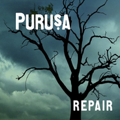 Purusa: Repair