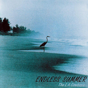 Endless Summer