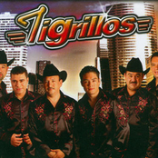 Los Tigrillos