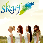 Skarf