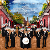 Mariachi Herencia De Mexico: Esencia, Vol. 2