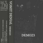 DEMO23