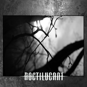 Pain, Plague and Pestilence