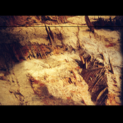 Forget Heaven / Angel Falls