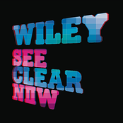 Cash In My Pocket by Wiley Feat. Daniel Merriweather