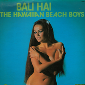 Hawaiian Beach Boys