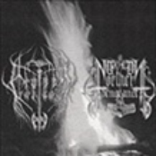 Black Death Over New England