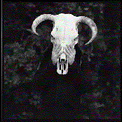 Brothers In Violence