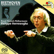 BEETHOVEN: Symphonies Nos. 5 and 8 (Herreweghe)