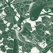 This Is Sharp Clouds