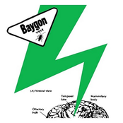 baygon vert