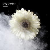 fabric 64: guy gerber