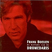 Dromedaris by Frank Boeijen