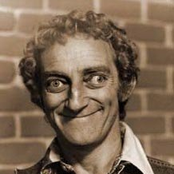 marty feldman