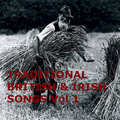 Traditional British & Irish Songs (Vol 1)