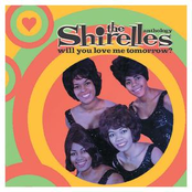 I Might Like It by The Shirelles