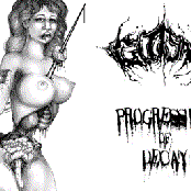 Progression of decay