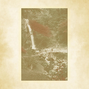 Kiko's Secret Garden