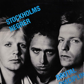 stockholms negrer