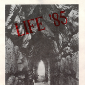 Life '85