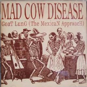 Mad Cow Disease