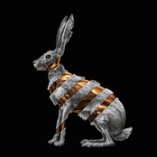 San Fermin: Jackrabbit