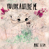 You Look A Lot Like Me (2016)