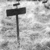 What Night Brings...