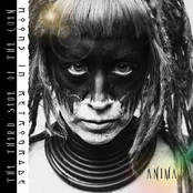 The Third Side Of The Coin (Anima)