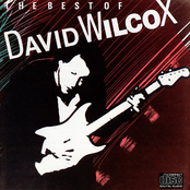 David Wilcox: The Best of David Wilcox