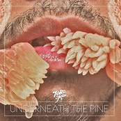 Toro Y Moi: Underneath the Pine