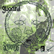 G​ü​aard / Natty Gray - Split