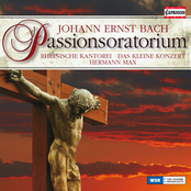 Bach: Passionsoratorium - Wenn Donnerwolken uber dir sich turmen - Meine Seele erhebt den Herrn